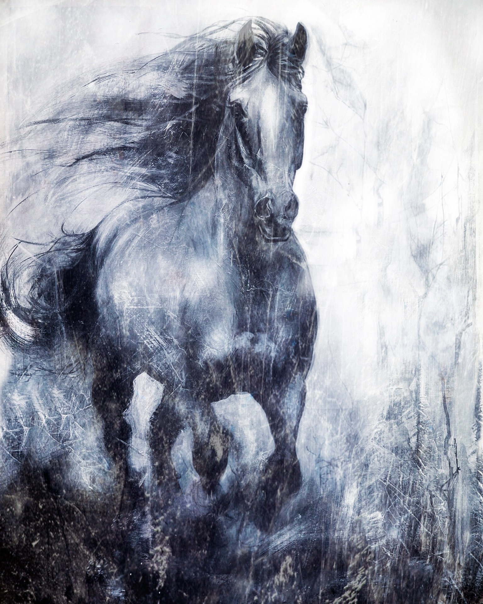 80x100cm
600